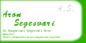 aron segesvari business card